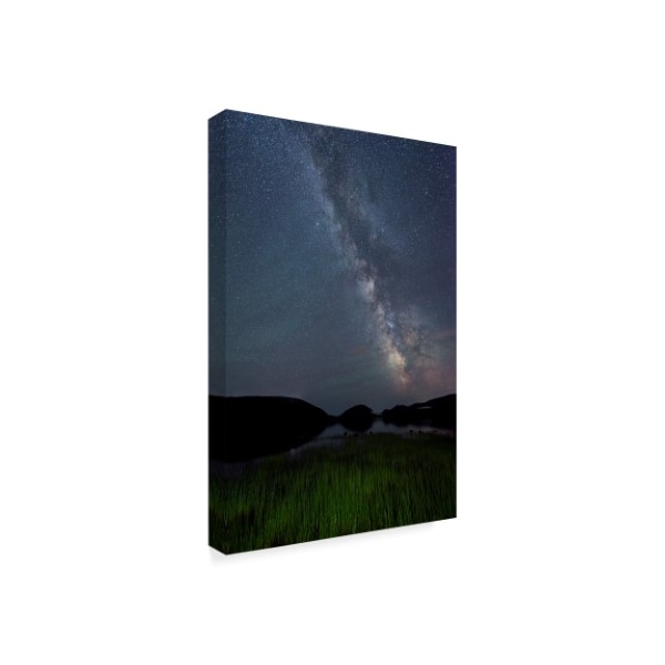 Michael Blanchette Photography 'Lake Grasses' Canvas Art,30x47